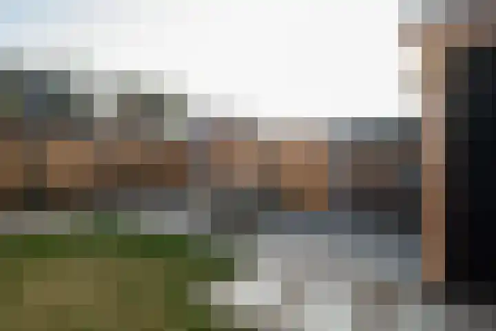 Begoniastraat 10 Losser thumbnail 28