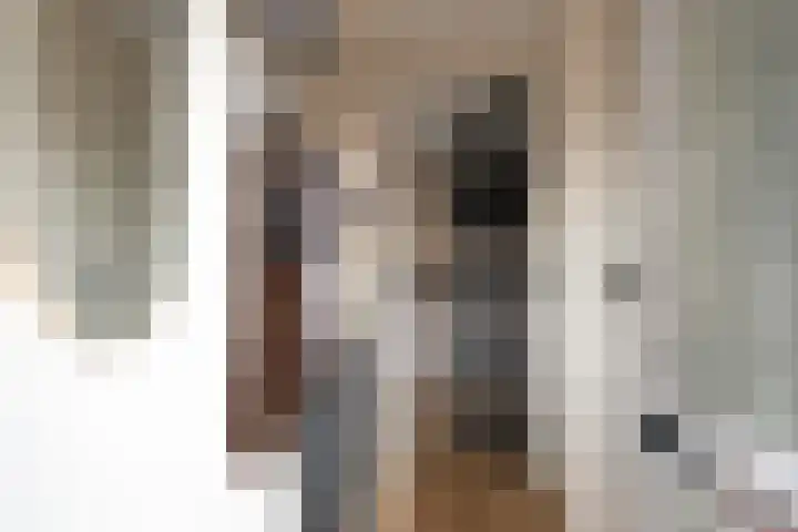 Begoniastraat 10 Losser thumbnail 7