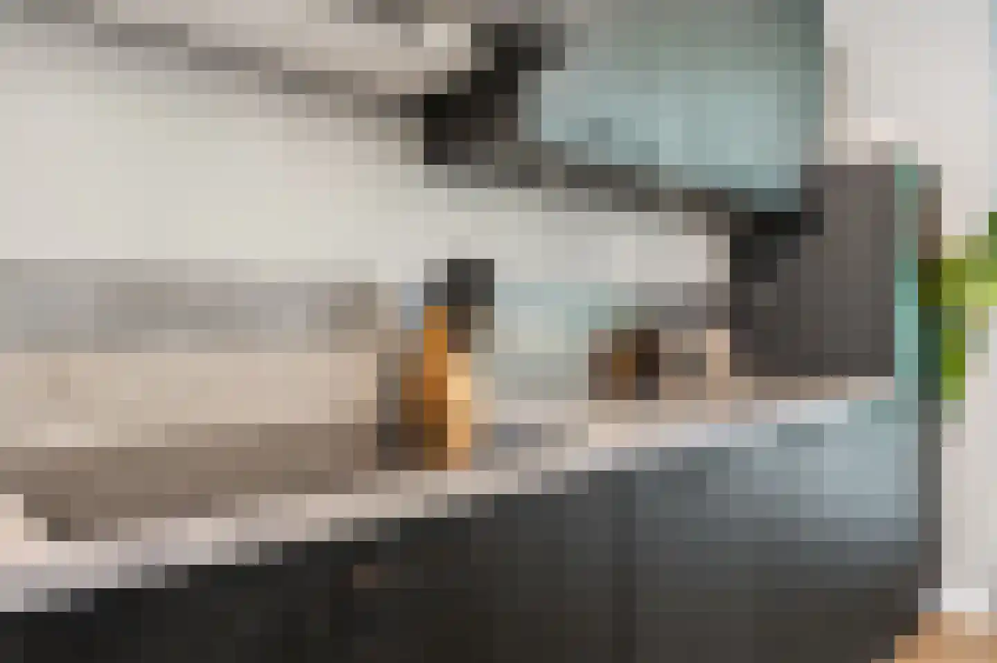 Begoniastraat 10 Son en Breugel thumbnail 13