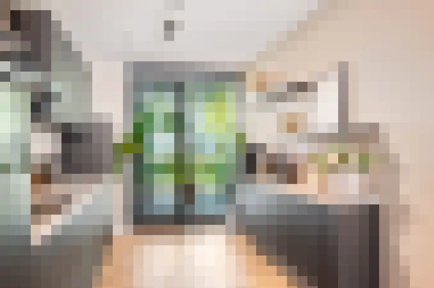 Begoniastraat 10 Son en Breugel thumbnail 14