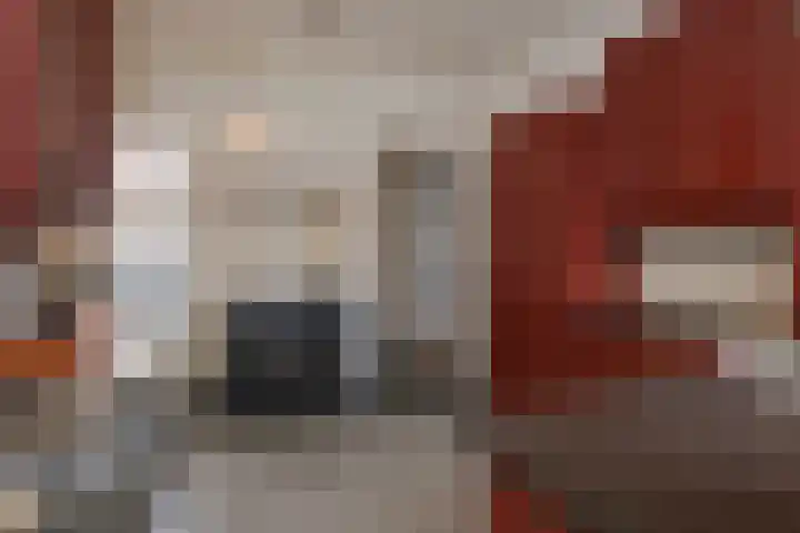 Begoniastraat 11 Almelo thumbnail 13