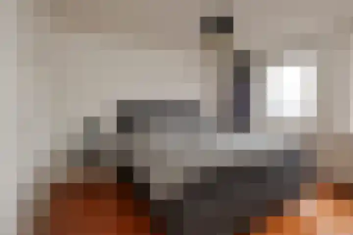 Begoniastraat 11 Almelo thumbnail 16