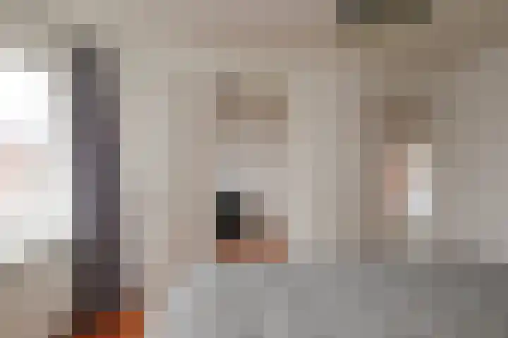 Begoniastraat 11 Almelo thumbnail 17