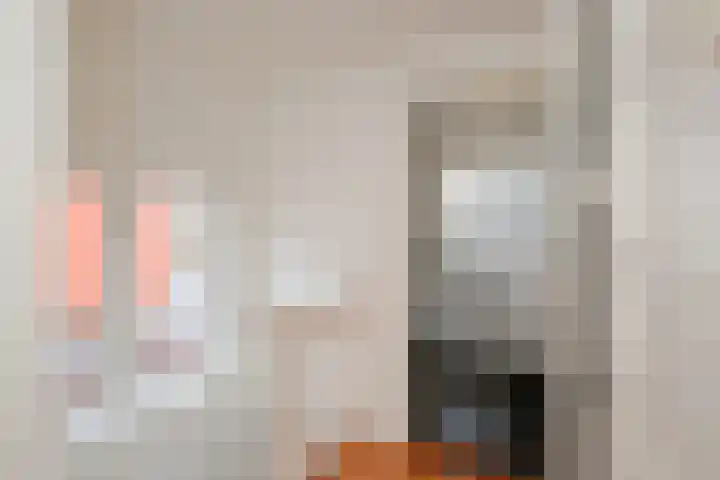 Begoniastraat 11 Almelo thumbnail 18