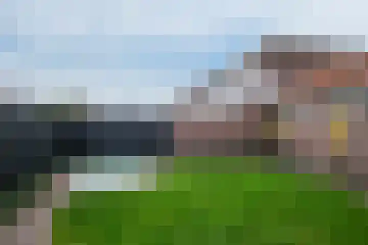 Begoniastraat 11 Almelo thumbnail 26