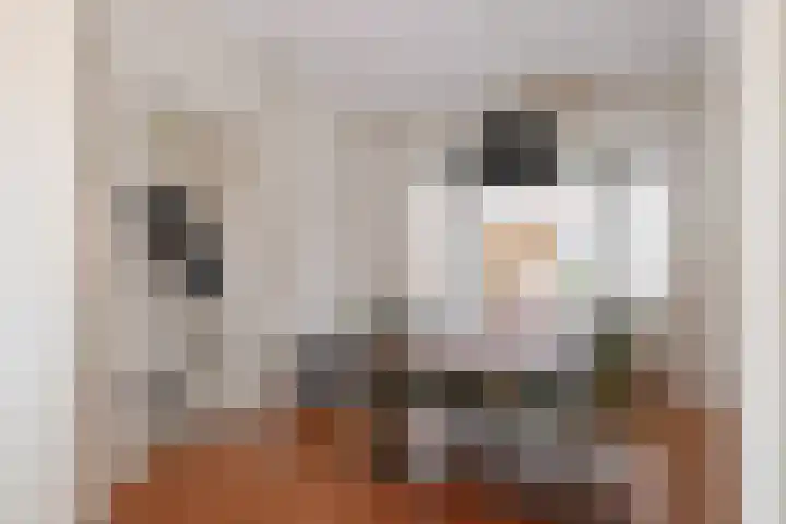 Begoniastraat 11 Almelo thumbnail 6