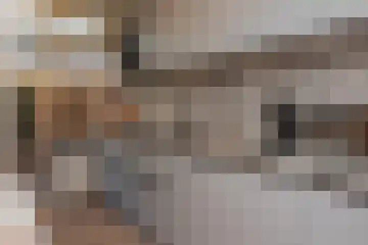 Begoniastraat 11 Hattem thumbnail 13
