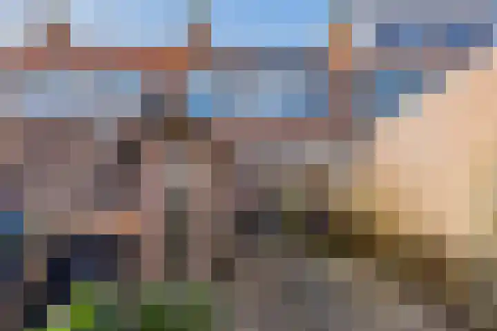 Begoniastraat 11 Hattem thumbnail 36