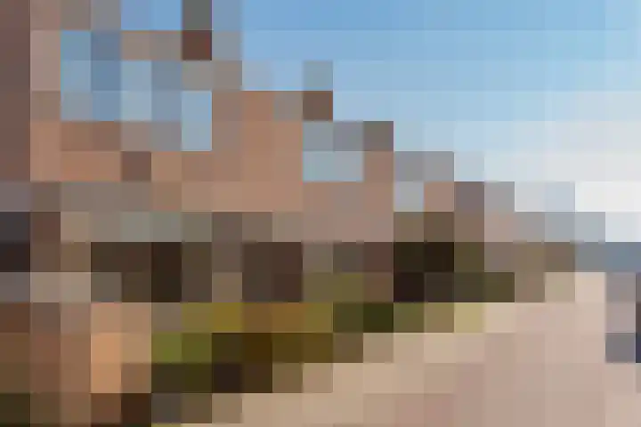 Begoniastraat 11 Hattem thumbnail 38