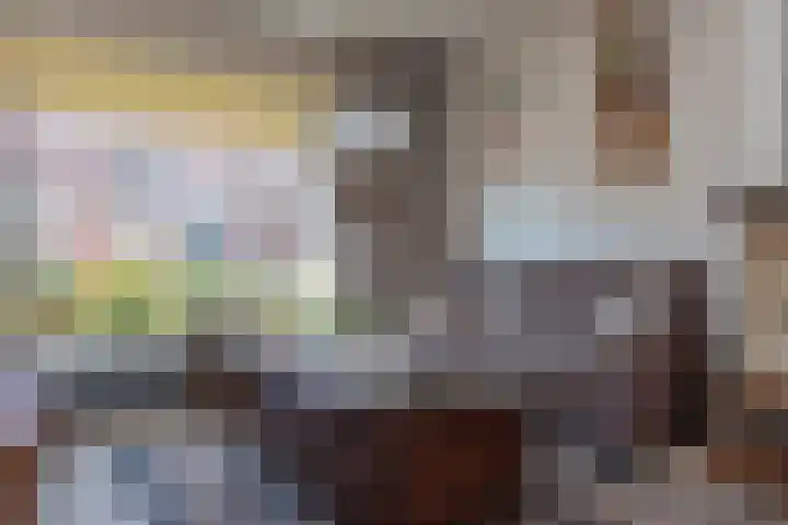 Begoniastraat 11 Hattem thumbnail 4