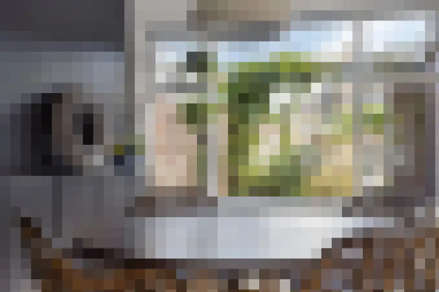 Begoniastraat 12 Heerenveen thumbnail 10