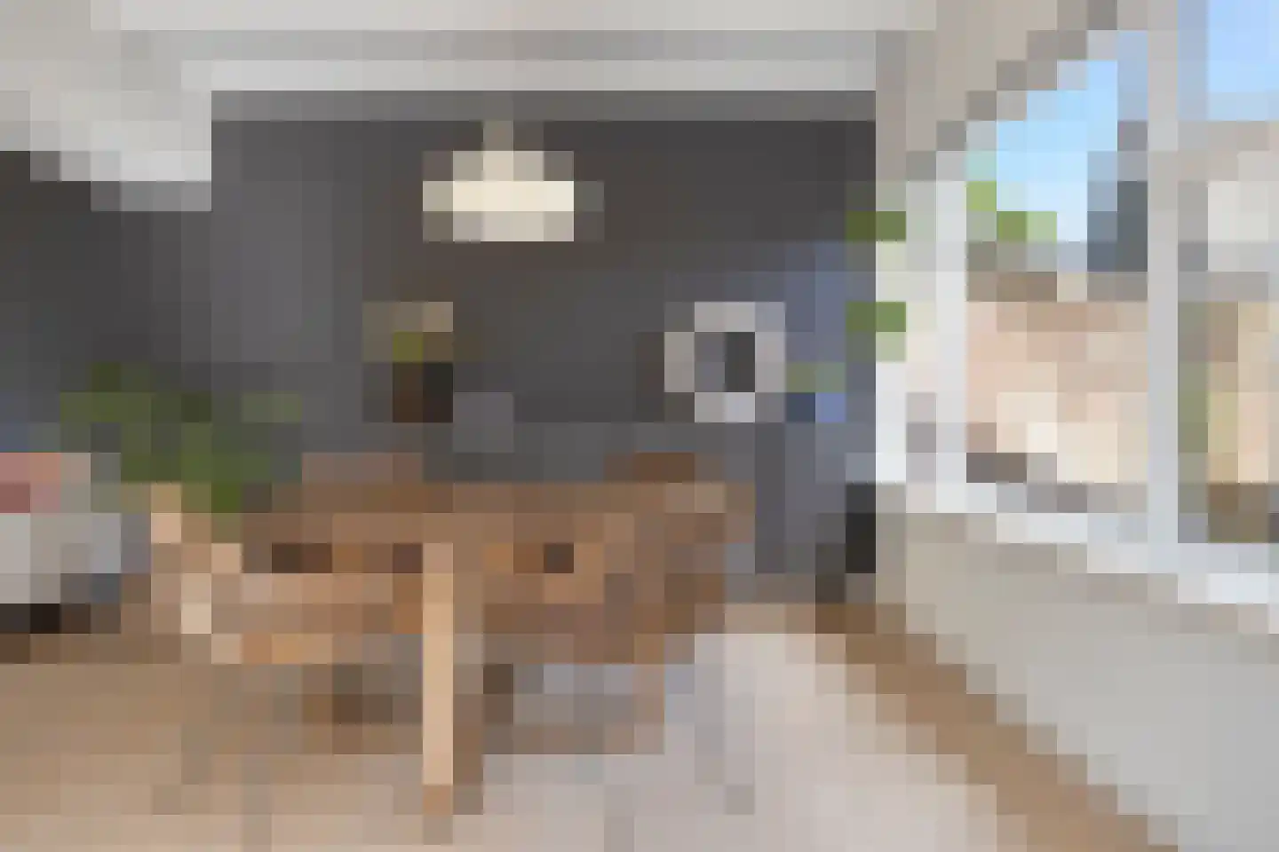 Begoniastraat 12 Heerenveen thumbnail 11