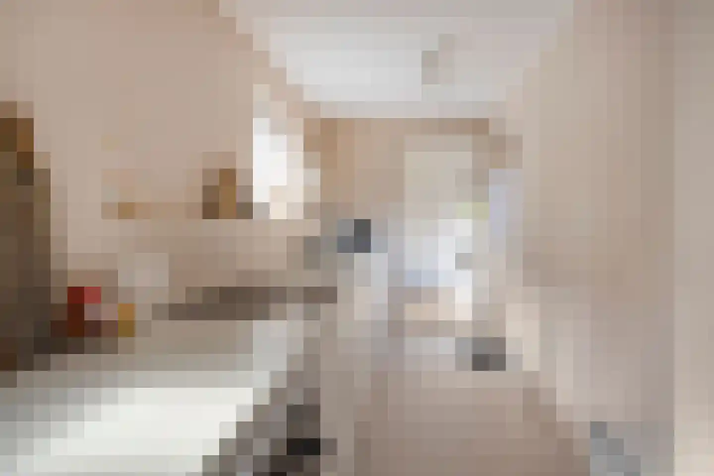 Begoniastraat 12 Heerenveen thumbnail 13