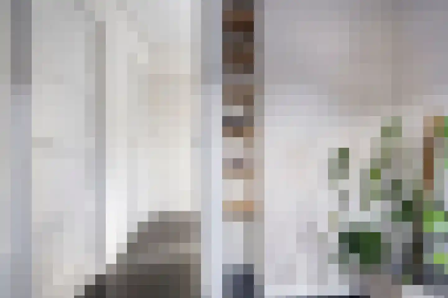 Begoniastraat 12 Heerenveen thumbnail 24