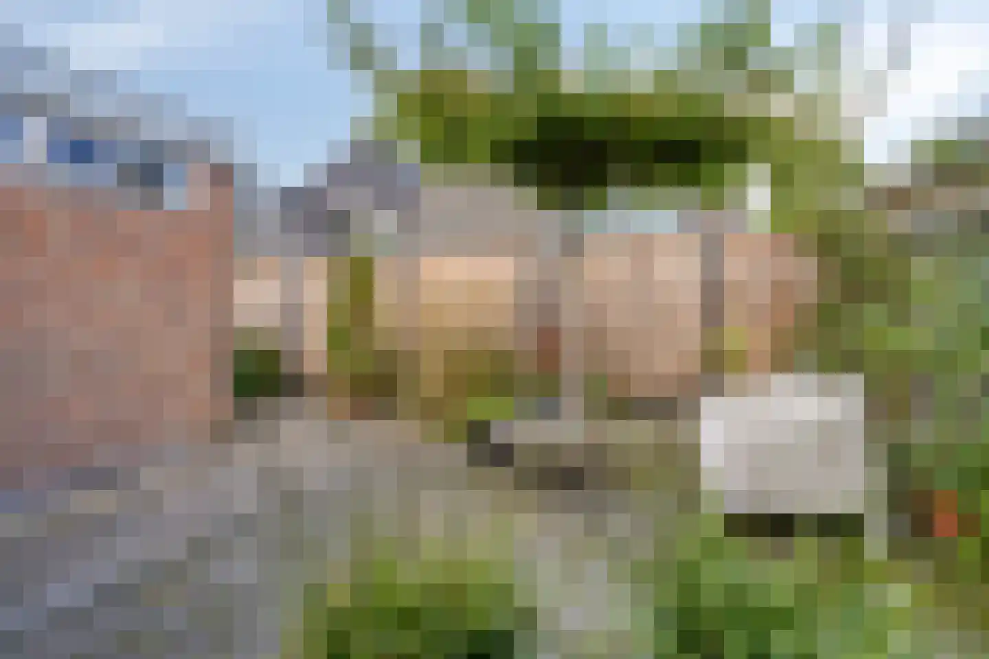Begoniastraat 12 Heerenveen thumbnail 27
