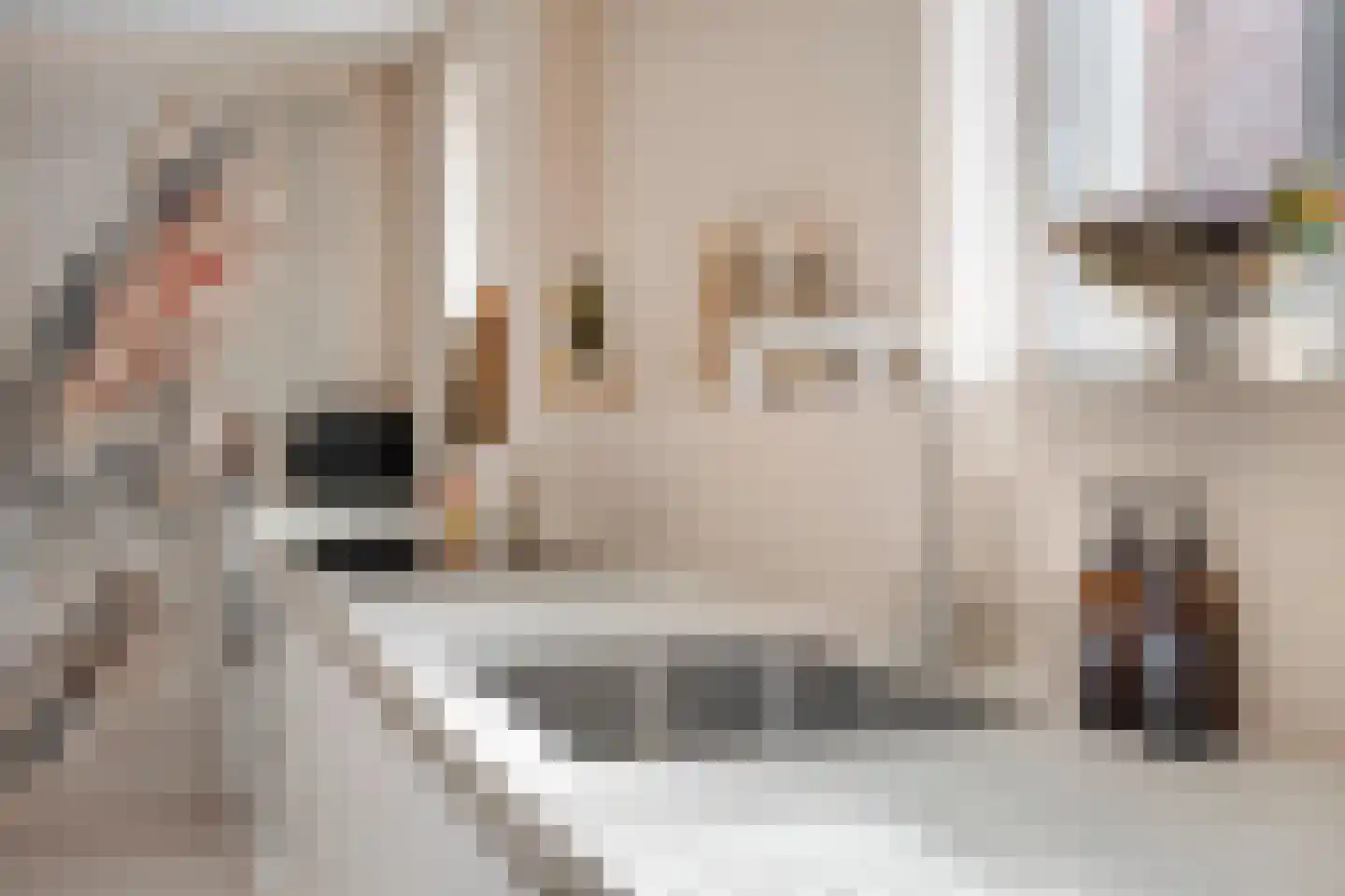 Begoniastraat 12 Heerenveen thumbnail 5