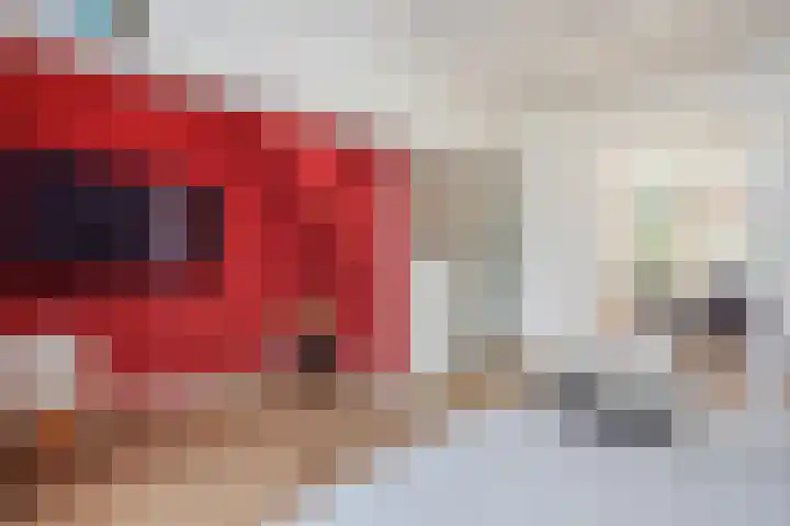 Begoniastraat 12 Hilversum thumbnail 13