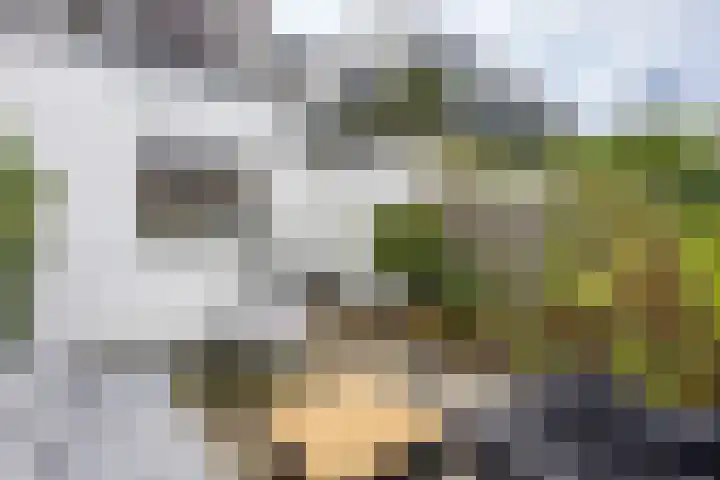 Begoniastraat 12 Hilversum thumbnail 20
