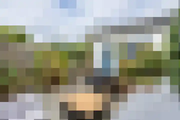 Begoniastraat 12 Hilversum thumbnail 22
