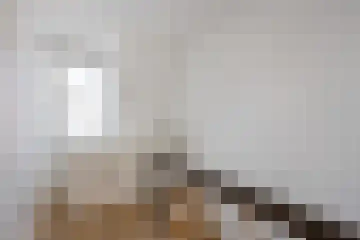 Begoniastraat 12 Hilversum thumbnail 23