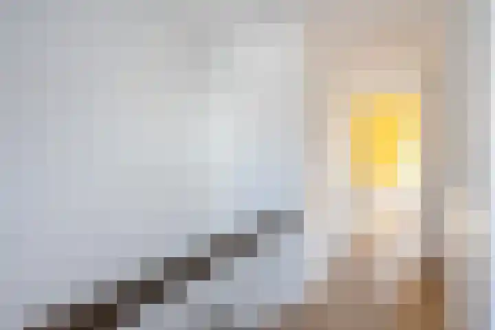 Begoniastraat 12 Hilversum thumbnail 24