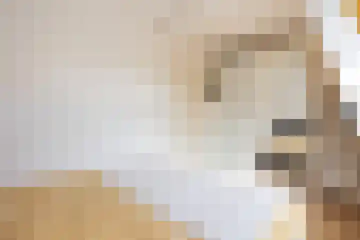 Begoniastraat 12 Hilversum thumbnail 27