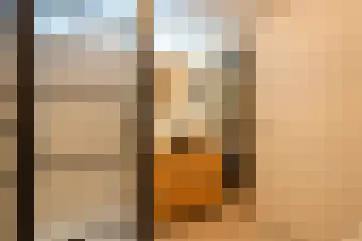 Begoniastraat 12 Hilversum thumbnail 31