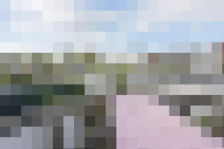 Begoniastraat 12 Hilversum thumbnail 39
