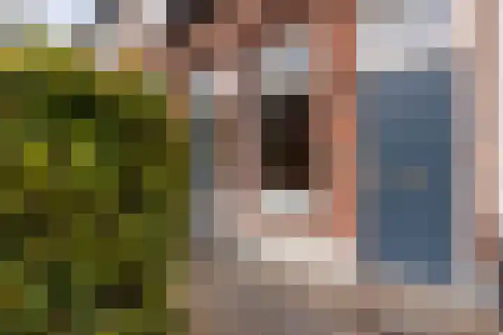Begoniastraat 12 Hilversum thumbnail 6