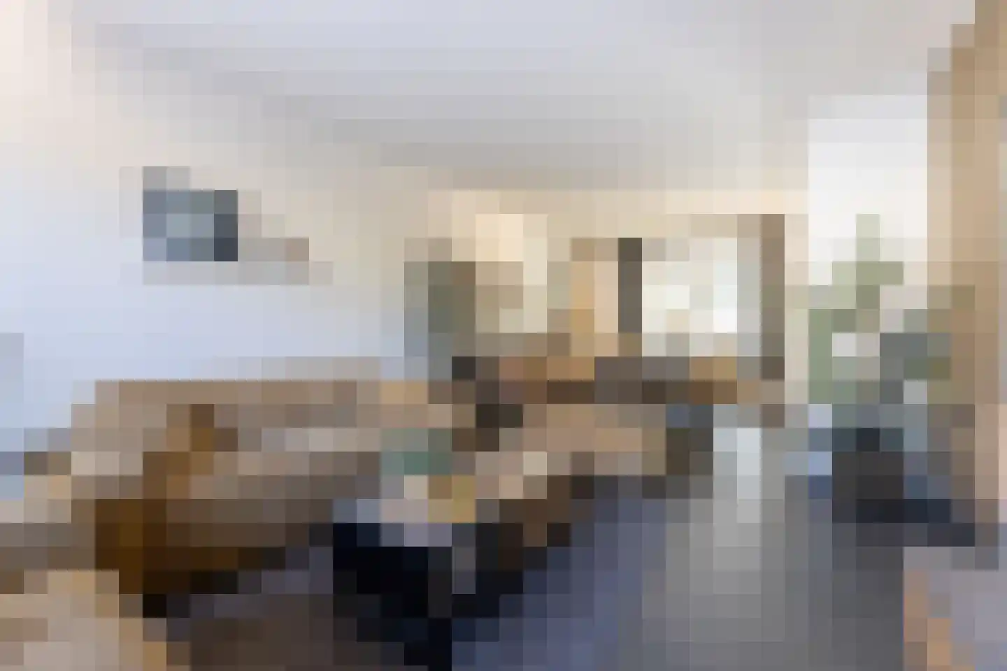 Begoniastraat 12 Putte thumbnail 10