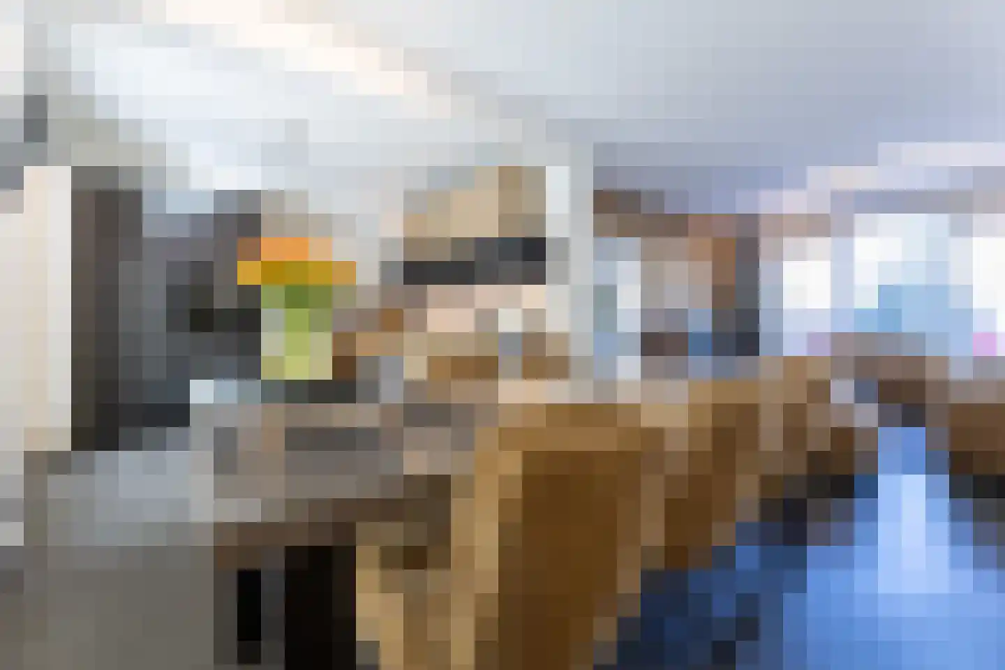 Begoniastraat 12 Putte thumbnail 14