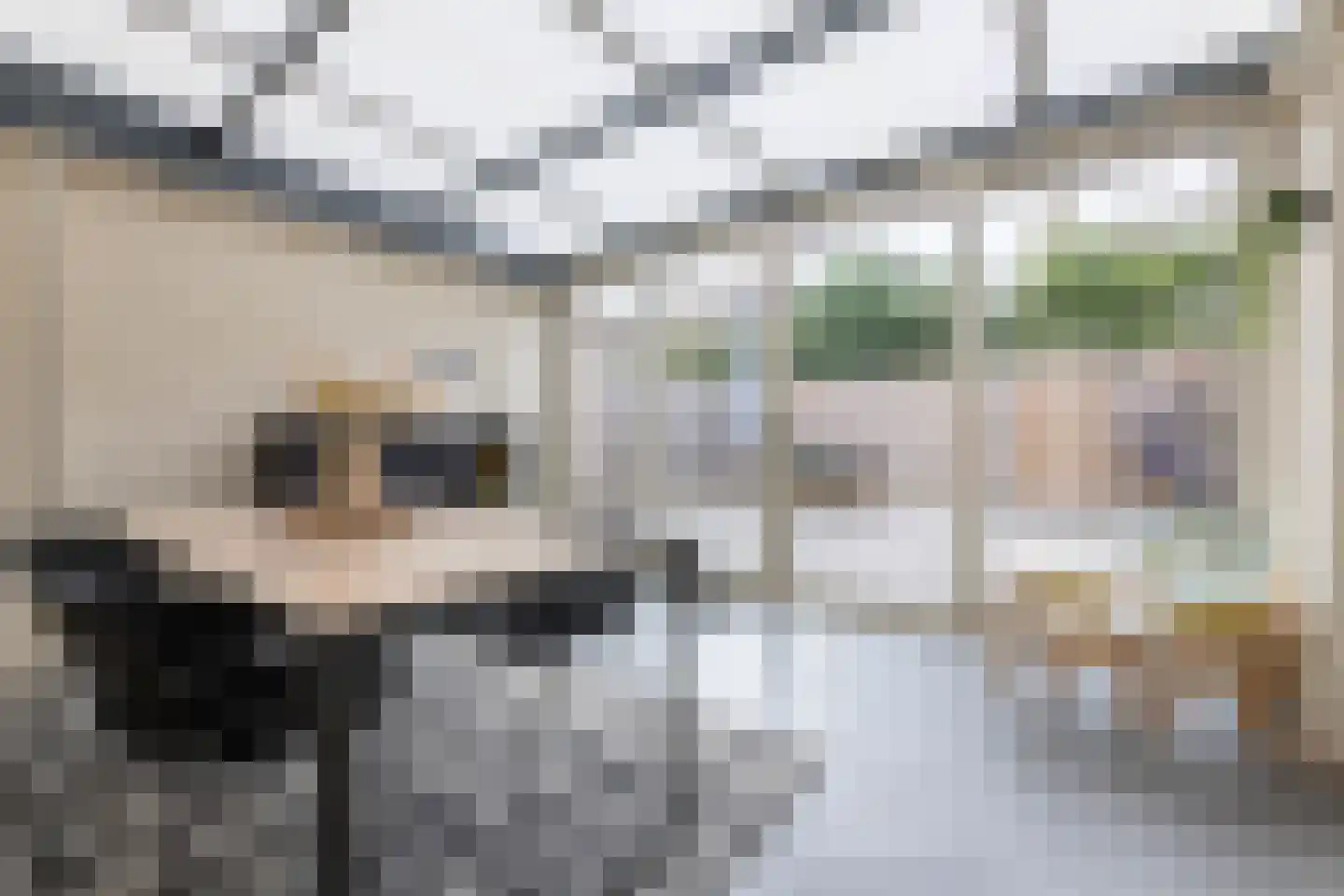 Begoniastraat 12 Putte thumbnail 19
