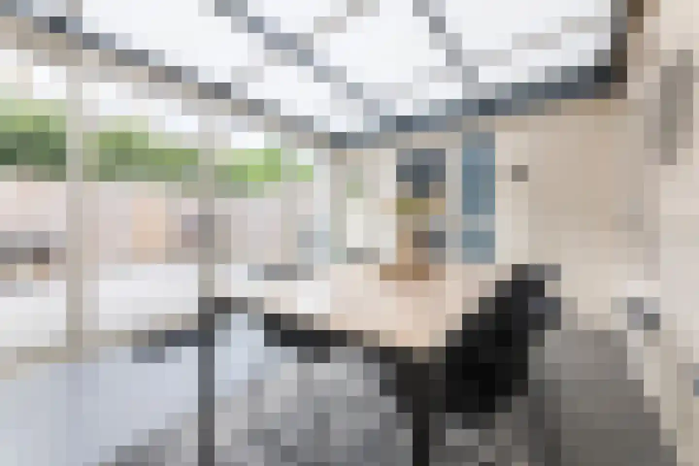 Begoniastraat 12 Putte thumbnail 20