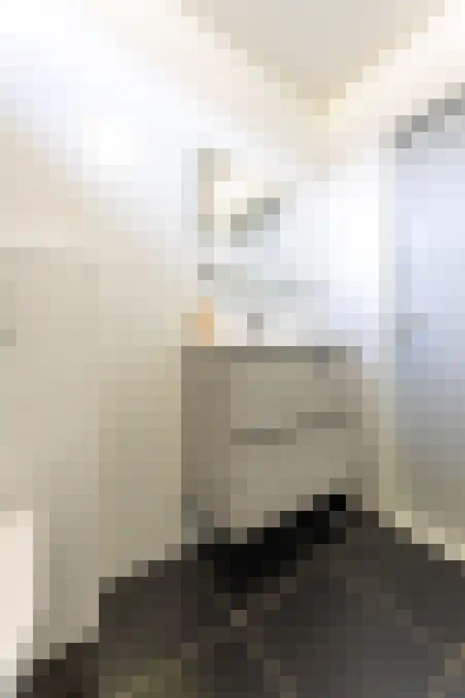 Begoniastraat 12 Putte thumbnail 28