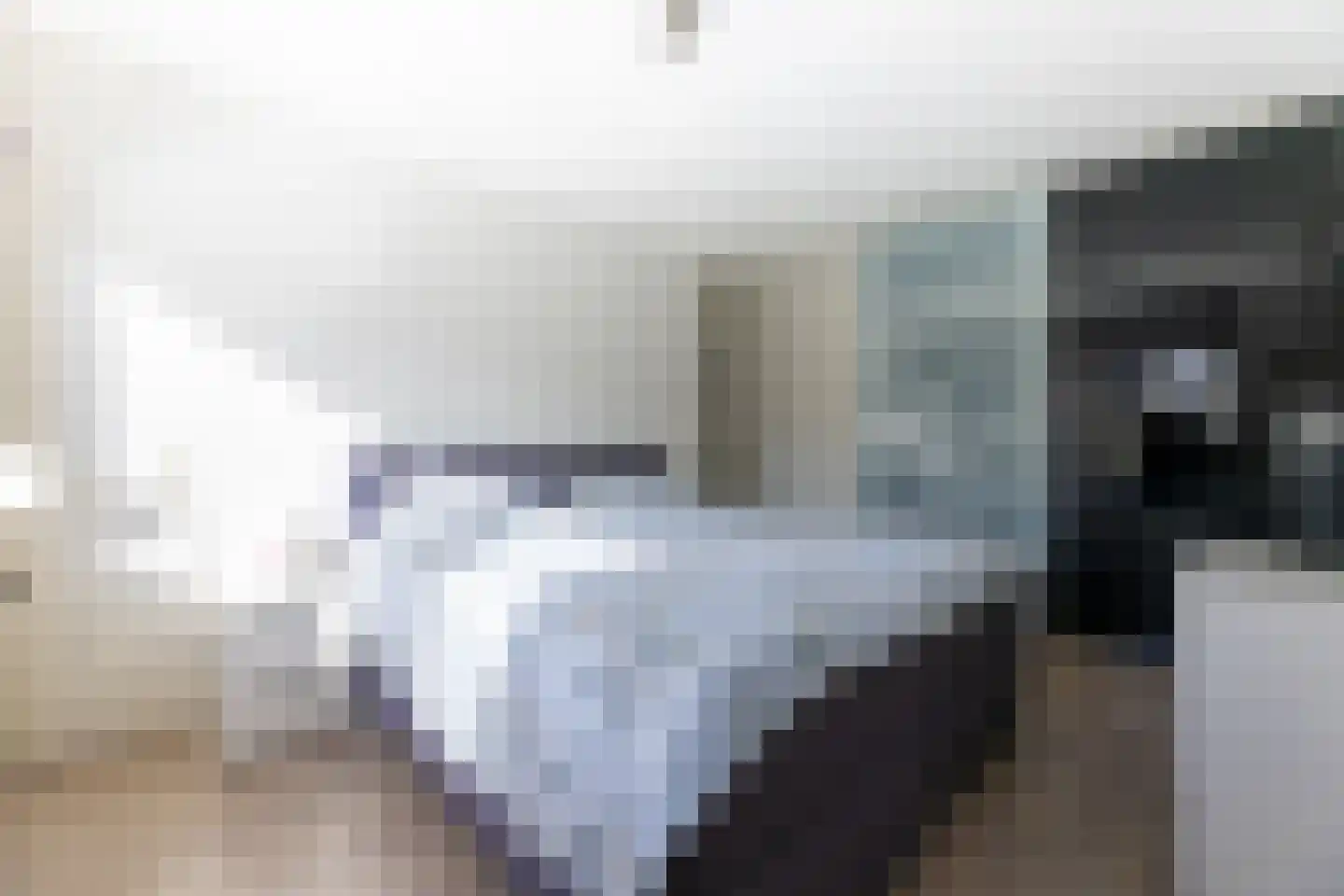 Begoniastraat 12 Putte thumbnail 36