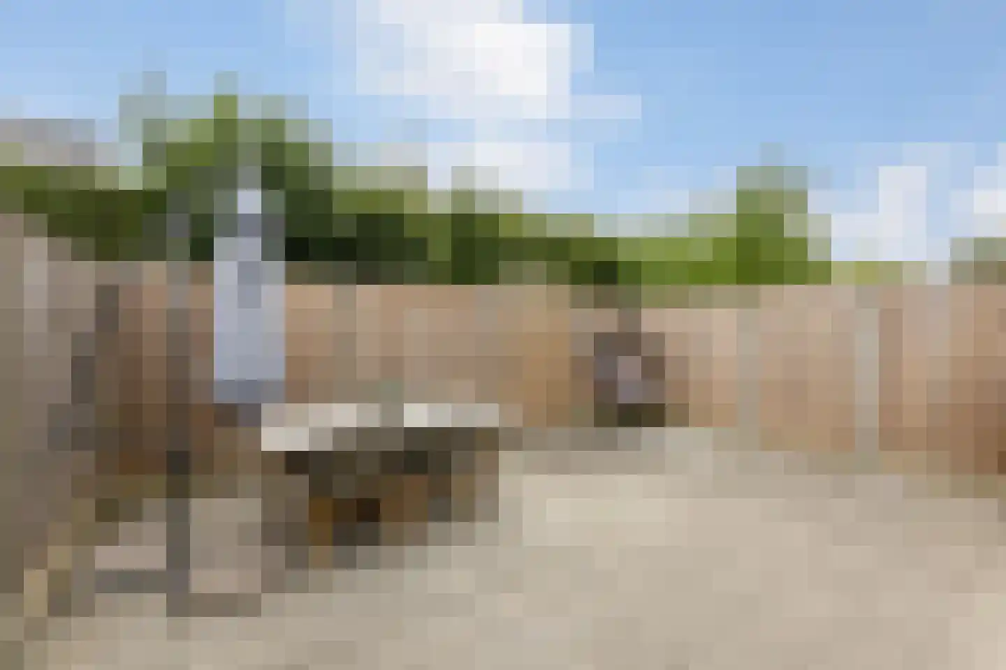 Begoniastraat 12 Putte thumbnail 4