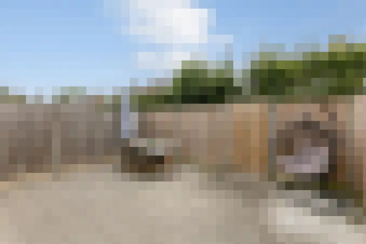 Begoniastraat 12 Putte thumbnail 47