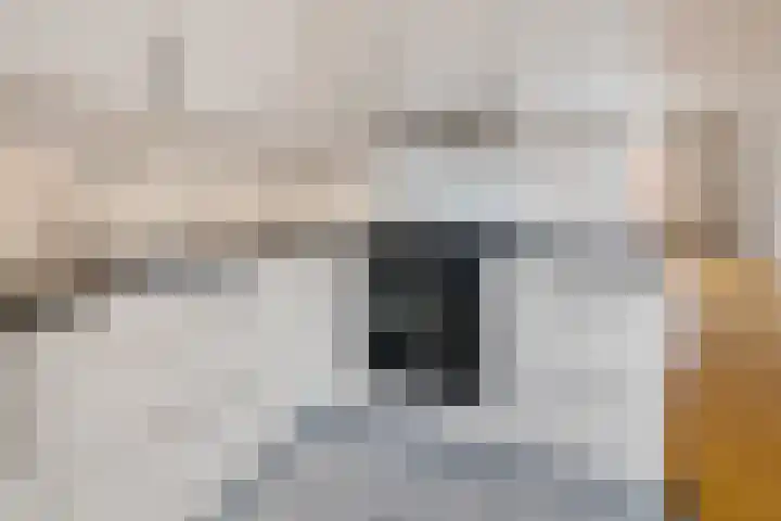 Begoniastraat 12 Sappemeer thumbnail 11