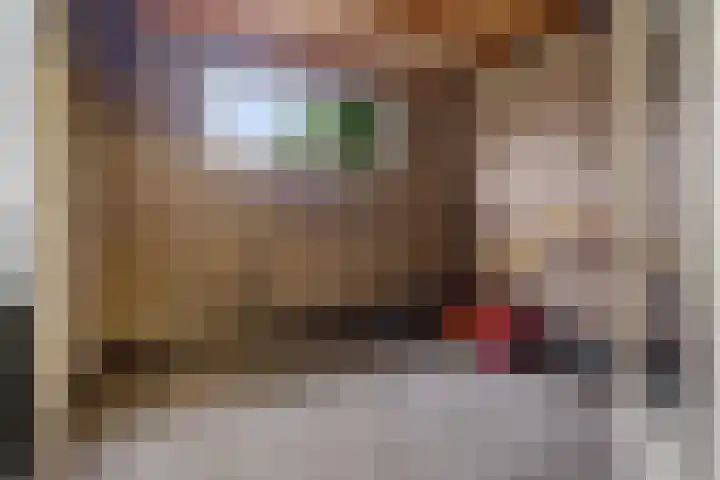 Begoniastraat 12 Sappemeer thumbnail 14
