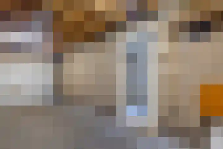 Begoniastraat 12 Sappemeer thumbnail 16