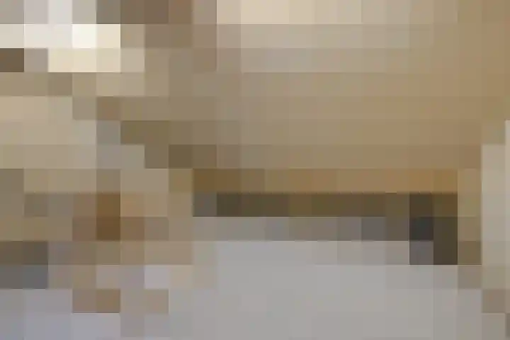 Begoniastraat 12 Sappemeer thumbnail 29