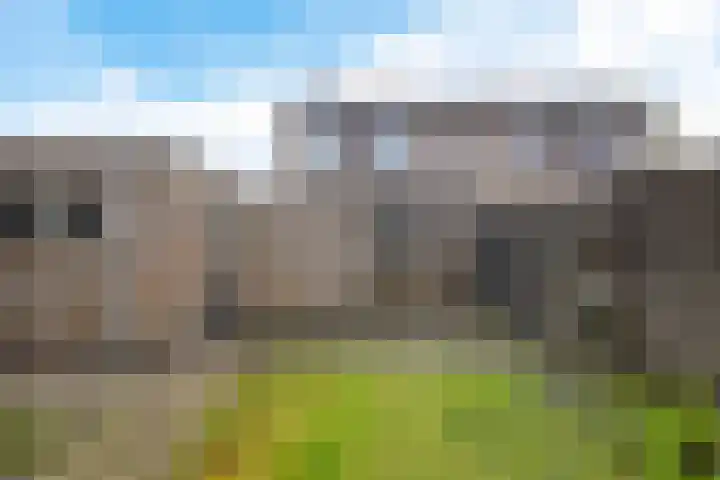 Begoniastraat 12 Sappemeer thumbnail 33