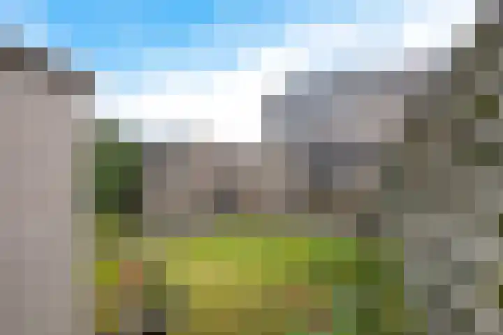 Begoniastraat 12 Sappemeer thumbnail 35