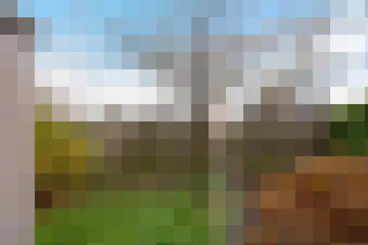 Begoniastraat 12 Sappemeer thumbnail 36
