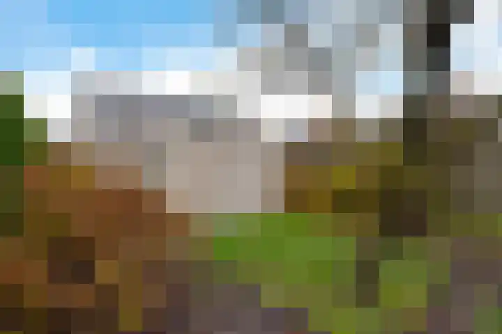 Begoniastraat 12 Sappemeer thumbnail 37