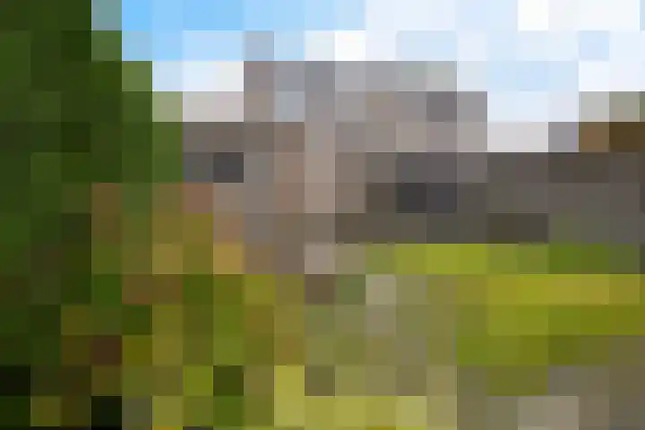 Begoniastraat 12 Sappemeer thumbnail 38
