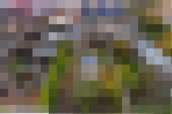 Begoniastraat 12 Sappemeer thumbnail 41