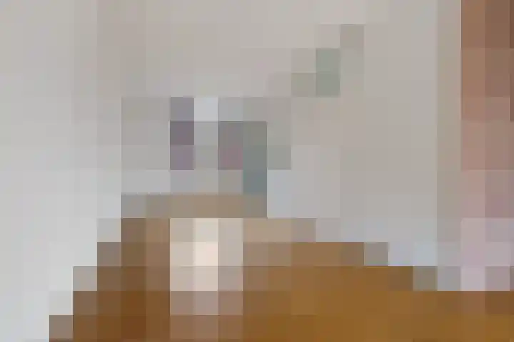 Begoniastraat 12 Sappemeer thumbnail 9