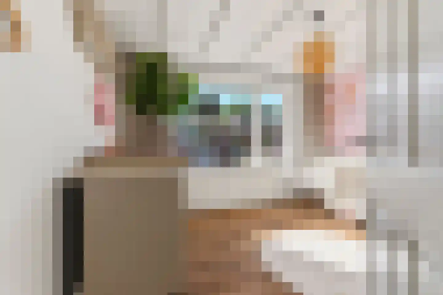 Begoniastraat 12 Sint-Michielsgestel thumbnail 23