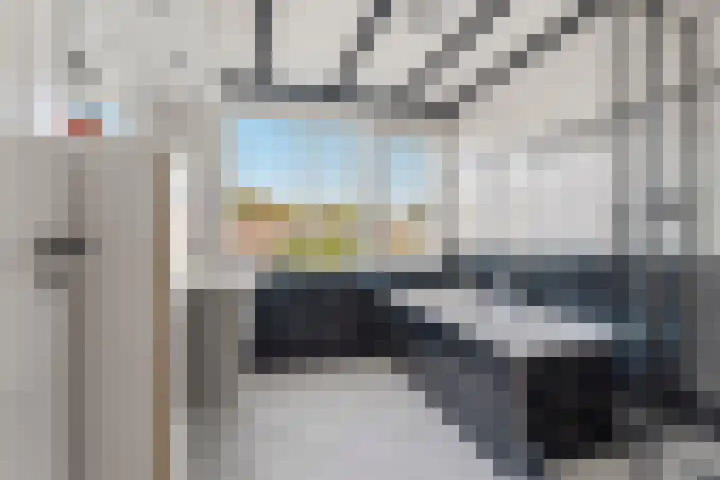 Begoniastraat 12 Sint-Michielsgestel thumbnail 25